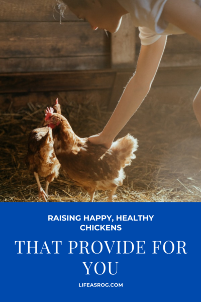 raising happy healthy chickens pin 1
