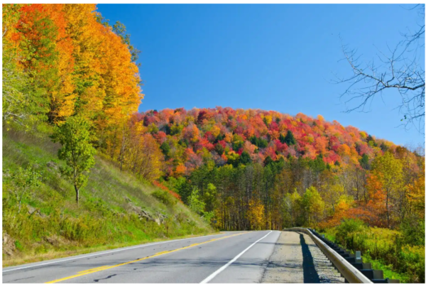 fall foliage road trips in 2023
